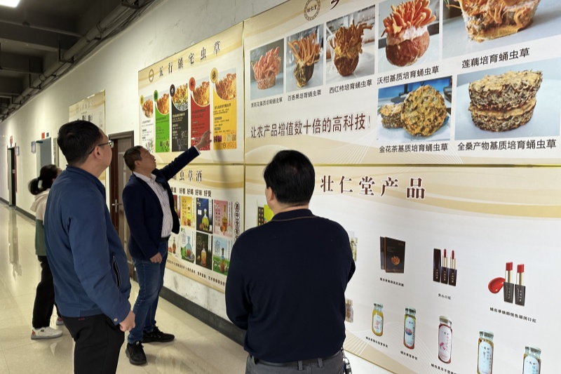 28048 m88在线客服